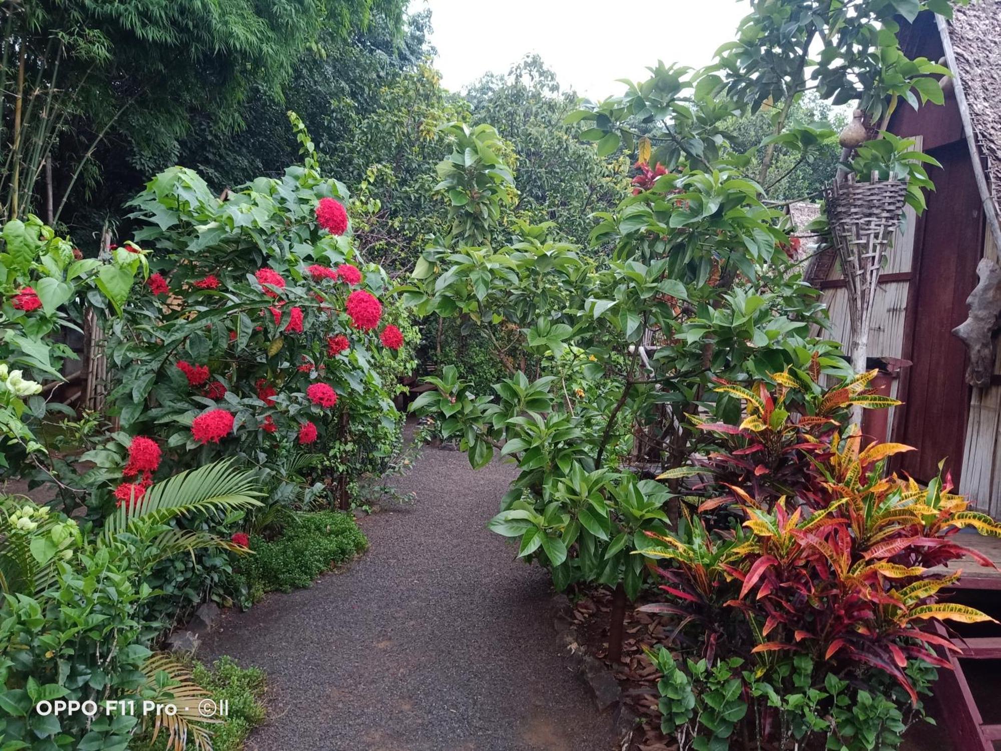 Tribal Village Homestay & Trekking Banlung Екстер'єр фото
