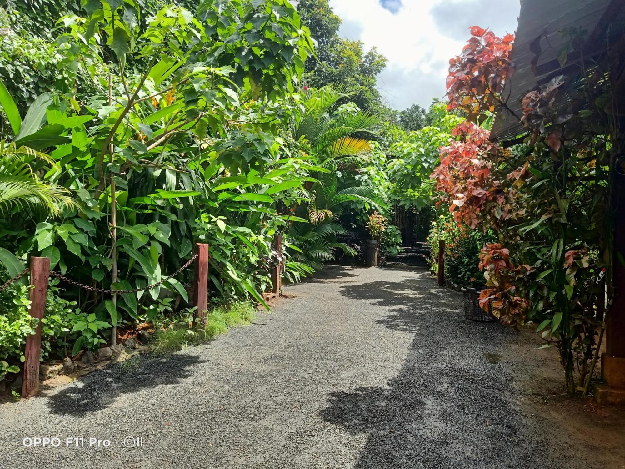 Tribal Village Homestay & Trekking Banlung Екстер'єр фото